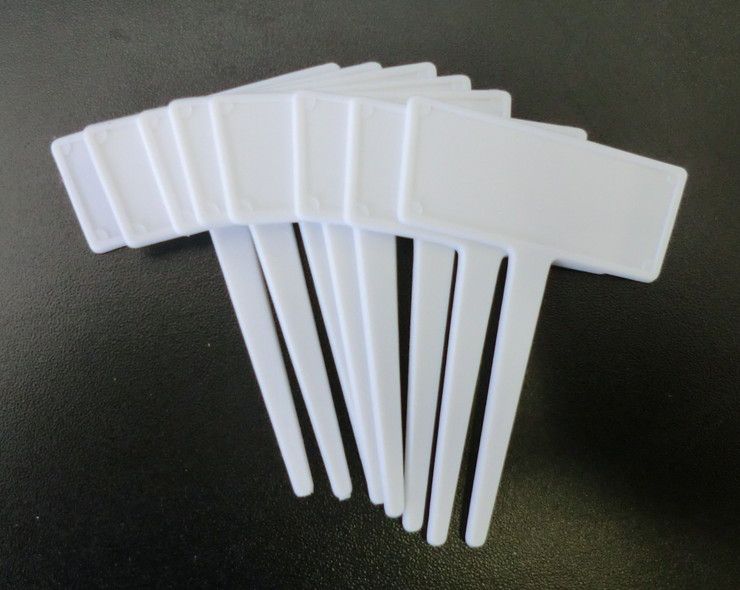 ���� ���T����٥� �� 8���� 727663