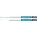 ベッセル 剛彩ビット 精密タイプ 2本組 (片頭) +00×100mm GS1600100
