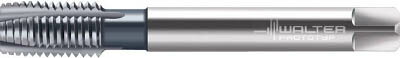 ワルター プロトティップ INOX ポイントタップ(TICNコート)【JC2026306-M12】(ねじ切り工具・ポイントタップ)【送料無料】