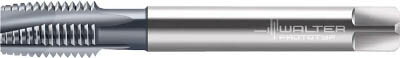 ワルター プロトティップ TINI ポイントタップ(TICNコート)【JC2026616-M8】(ねじ切り工具・ポイントタップ)【送料無料】