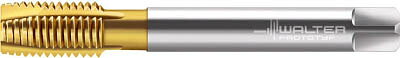 ワルター プロトティップ H ポイントタップ(TINコート)【JC2036005-M8】(ねじ切り工具・ポイントタップ)【送料無料】