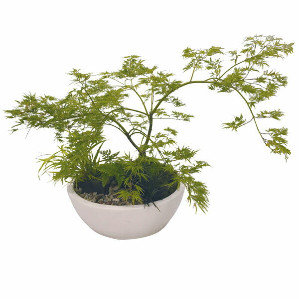 �ե��ߥ���ƥѥ� �ڥӡ��󥺡� �����ܥ꡼ �ץ�󥿡� ��˥��� �����ǥ˥� �����ڱ� ������� ��� ������� ȭ(����Բ�)������̵����