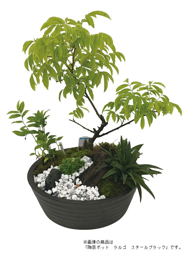 ƫ�ݥݥåȡڥ�르�� �����ǥ�ѥ� �ץ�󥿡� ��˥��� �����ǥ˥� �����ڱ� ������� ��� ������� ȭ(����Բ�)������̵���ۡ�smtb-f��