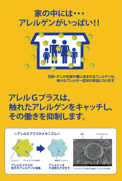 アレルGプラス レースカーテン 2枚セット （幅：〜100cm 丈： 〜115cm） 国産 イージーオーダー レースカーテン (代引き不可)【送料無料】