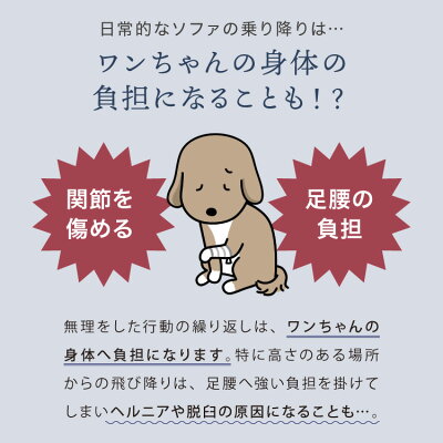 ドッグステップ 2段 階段 滑り止め 幅40cm ペットステップ 踏み台 ステップ 室内犬 ペット用品 ペットスロープ 小型犬 高齢犬 介護用品 ソファ シニア犬 補助 犬用品 ウレタン シンプル トイプードル【送料無料】 - Image 3