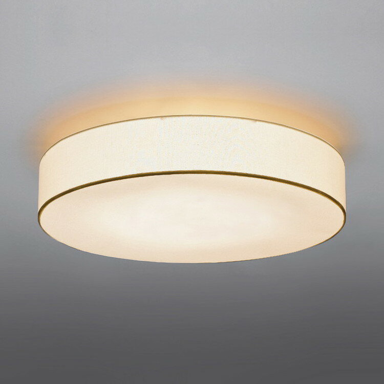 シーリングライト LD-2991-L【送料無料】