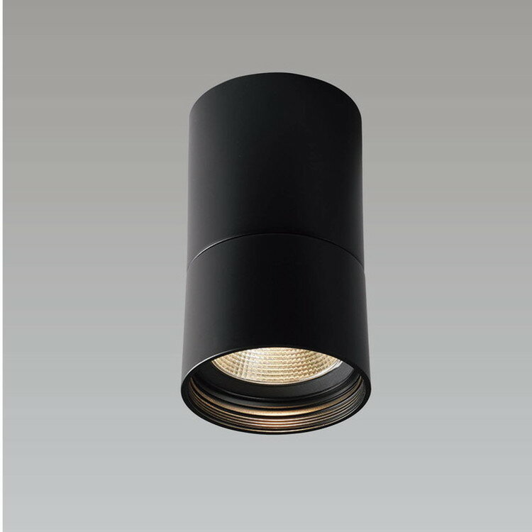 ダクトライト LD-5338-WW【送料無料】