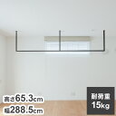 森田アルミ工業 天井付け物干し kacu カク E字Sサイズ ブラック W2885×H653 KAC286E-BK 室内 物干し 省スペース タオル掛け 天井つ...