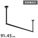 川口技研 ホスクリーン 室内物干し BAR型 ブラック BAR1-4509-BK 物干金物おしゃれ 北欧 インテリア ワンポイント 洗濯 室内 室内干し【送料無料】