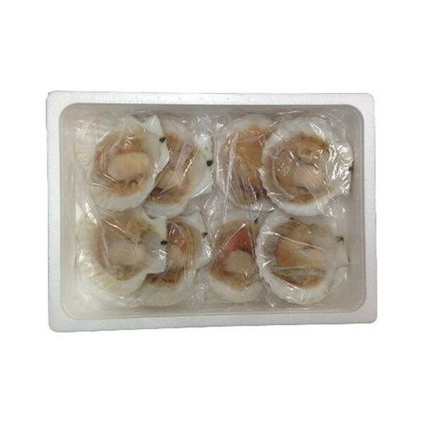 北海道 帆立片貝 食品 ギフト プレゼント 贈答 熨斗 のし 贈り物 記念日 お祝い 冠婚葬祭 内祝 御祝 無地 出産内祝 結婚内祝 御見舞 快気祝 御仏前 志 お供(代引不可)【送料無料】