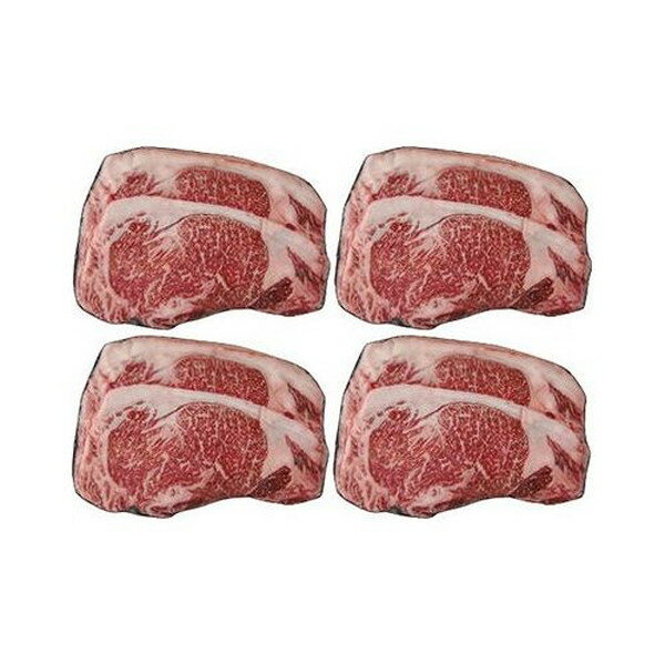 北海道平取産 黒毛和牛サーロインスライス 食品 ギフト プレゼント 贈答 熨斗 のし 贈り物 記念日 お祝い 冠婚葬祭 内祝 御祝 無地 出産内祝 結婚内祝 御見舞 快気祝 御仏前 志 お供(代引不可)【送料無料】