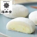 岡山 創業明治四年 「福井堂」 生クリーム大福 瀬戸内レモン 食品 ギフト プレゼント 贈答 熨斗 のし 贈り物 記念日 お祝い 冠婚葬祭 内祝 御祝 御見舞 ...