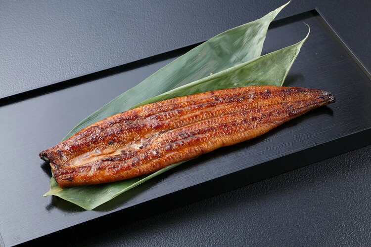 お中元 うなぎ問屋の大五 国産鰻 蒲焼セット うなぎ ギフト 産直 丑の日 熨斗 贈り...