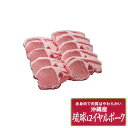 沖縄琉球ロイヤルポーク ロースステーキ計800g グルメ 人気 おすすめ ギフト 贈答 取り寄せ お取り寄せグルメ お取り寄せ 熨斗 のし 贈り物(代引不可)【...