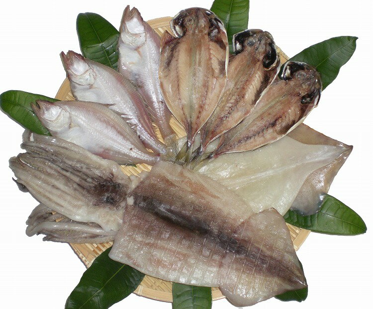 兵庫 香住ハマダセイ 日本海香住港一夜干し グルメ 人気 おすすめ ギフト 贈答 取り寄せ お取り寄せグルメ お取り寄せ 熨斗 のし 贈り物(代引不可)【送料無料】