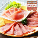 北海道 「札幌バルナバハム」 パーティーセット 360g 040S068A ウインナー 生サラミ 生ハム 中元 歳暮 ギフト 贈り物 贈答 食べ物 熨斗(代引不...
