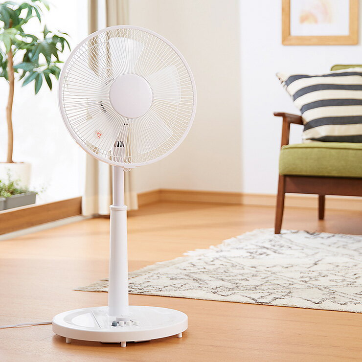 リビングファン メカ式 30cm 5枚羽根 首振り 風量3段階 タイマー 高さ調節 フラットガード 静音 扇風機【送料無料】