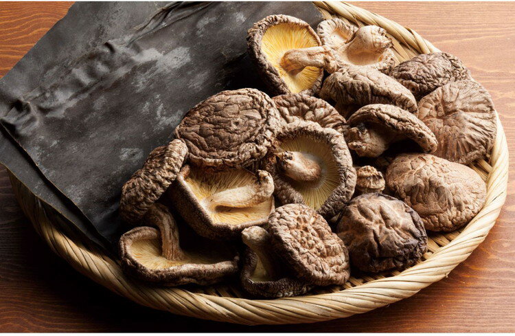 ���������۵͹礻 SK-20 ����ʪ�� �������� �������� ���� ���� ���ե� £��ʪ £���� ����������̵����