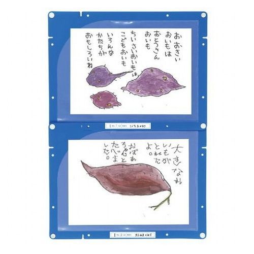 【商品特長】縦にも横にも連結できる!色付きなので作品が映える!A4サイズの用紙が入る!【仕様】商品サイズ(単位mm):288×380mm重量(g):56g材質:PP包装形態:袋包装サイズ:380x300x5mm生産国:中国【代引きについて】こちらの商品は、代引きでの出荷は受け付けておりません。【送料について】北海道、沖縄、離島は送料を頂きます。