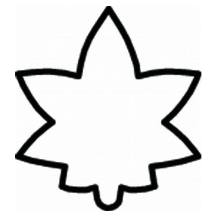 たかもり たかもりの生抜 極小 紅葉 077054