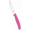 ビクトリノックス ペティーナイフ PK 6.7706.5FCE 10cm(代引不可)【送料無料】
