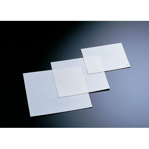 アオト印刷 惣菜袋 無地 (100枚入) M No.07808 XHK1202