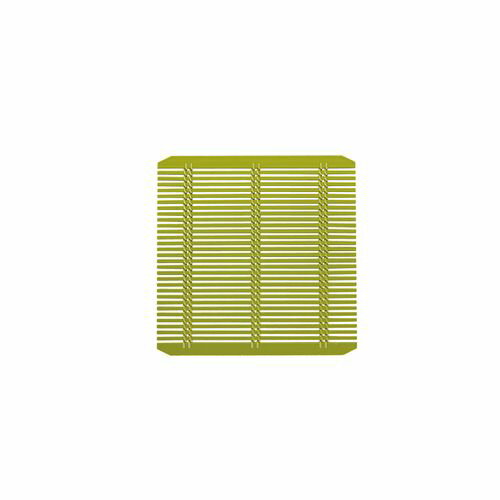 福井クラフト 強化PP竹ス 正角 171 グリーン 49930790 QTK3110