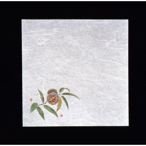 ヤマコー 新・濡れ奉書紙(100枚入) 栗 QHU20