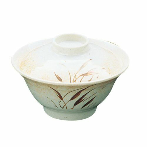 遠藤商事 メラミン「紅志野」丼 VS-7623M身 RDV44002