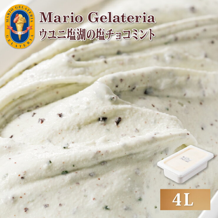 マリオジェラテリア 業務用ジェラート ウユニ塩湖の塩チョコミント 【4L】 ジェラート アイス(代引不可)【送料無料】のサムネイル