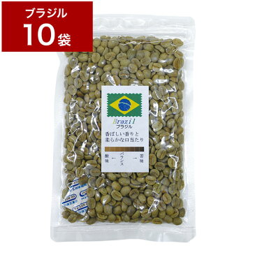 1.2kg 生豆 ブラジル 120g×10袋 【10袋セット】 珈琲 コーヒー豆 未焙煎【送料無料】