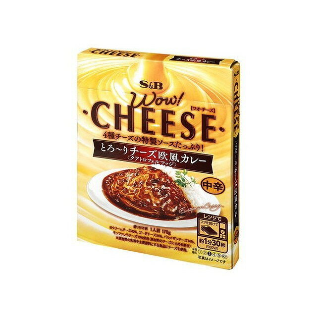 【6個セット】 S&B WOW! チーズ欧風カレー 中辛 170g x6 まとめ買い まとめ売り お徳用 大容量 セット販売(代引不可)【送料無料】