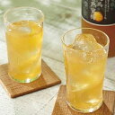 王隠堂 南高黄熟蜜梅 2本セット 産地直送 産直 食品 食べ物 お取り寄せ グルメ ご当地グルメ ソフトドリンク 梅 ジュース(代引不可)【送料無料】