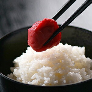 王隠堂 むかし梅干 500g 産地直送 産直 食品 食べ物 お取り寄せ グルメ ご当地グルメ 梅 梅干し 梅干(代引不可)【送料無料】