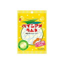 【単品10個セット】 パイン パインアメラムネ 25g(代引不可)
