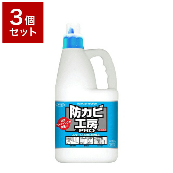 【3個セット】 UYEKI ウエキ 防カビ工房PRO 業務用 2L 掃除グッズ 掃除用品 掃除 風呂 お風呂掃除 お風呂掃除用品【送料無料】