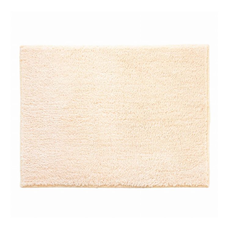【商品説明】 ふわふわのポリエステル糸をたっぷり使用したバスマット45×60cmです。 シンプルなフラット仕上げでどこを踏んでも「ふんわり」とした踏み心地です。 優しい雰囲気のパステルカラーでバスルームに優しく溶け込みます。 洗濯ネットに入れて洗濯機で丸洗い可能です。 裏面には滑り止め加工が施されており安心です。 【商品情報】 ■サイズ 約 横60×縦45（cm） ■質量 ポリエステル100％【代引きについて】こちらの商品は、代引きでの出荷は受け付けておりません。【送料について】北海道、沖縄、離島は送料を頂きます。LINK35×50cm ブルー35×50cm グレー35×50cm アイボリー35×50cm ピンク45×60cm ブルー45×60cm グレー45×60cm アイボリー45×60cm ピンク
