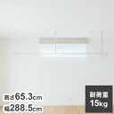森田アルミ工業 天井付け物干し kacu カク E字Sサイズ ホワイト W2885×H653 KAC286E-WH 室内 物干し 省スペース タオル掛け 天井つり シンプル【送料無料】