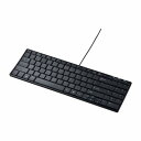 サンワサプライ 英語配列USBスリムキーボード SKB-E2UN(代引不可)