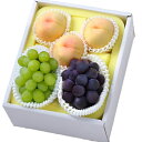 岡山県産 桃&マスカットオブアレキサンドリア&ピオーネ 食品 お中元 中元 ギフト 贈り物 贈答 食べ物 熨斗 のし 贈答用 プレゼント おくりもの 20230...
