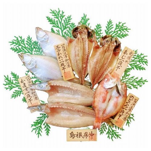 干物ギフト 島根 岡富商店 島根沖清流干物セット 食品 ギフト プレゼント 贈答 熨斗 のし 贈り物 記念日 お祝い 冠婚葬祭 内祝 御祝 無地 出産内祝 結婚内祝 御見舞 快気祝 御仏前 志 お供(代引不可)【送料無料】