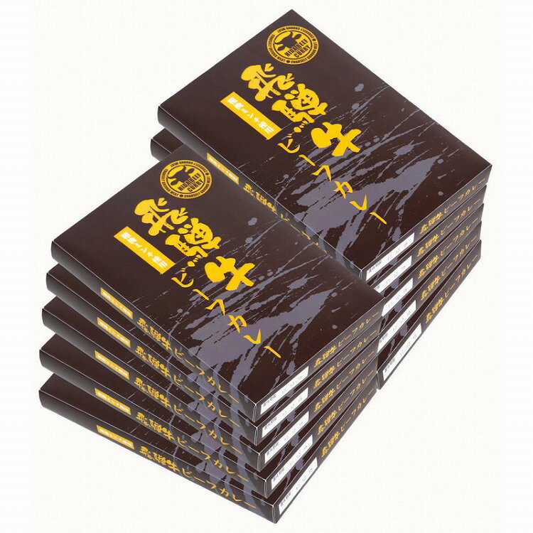 岐阜 飛騨牛 粗挽きミンチ使用 カレー 10食 牛肉 ひき肉 グルメ ごちそう お取り寄せ食品 ギフト プレゼント 贈答 熨斗 のし 贈り物(代引不可)【送料無料】