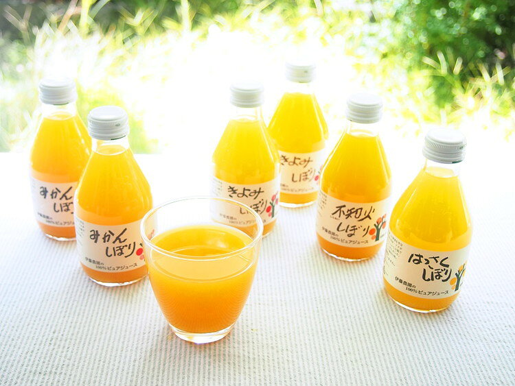 リコメン堂生活館のお中元 和歌山 伊藤農園 100%ピュアジュース180ml×9本セット ジュース ギフト 産直 ご当地グルメ 熨斗 贈り物 のし対応 (代引不可)【送料無料】｜アングル2
