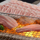 山形県食肉公社認定 山形豚 焼肉用 グルメ 人気 おすすめ ギフト 贈答 取り寄せ お取り寄せグルメ お取り寄せ 熨斗 のし 贈り物(代引不可)【送料無料】