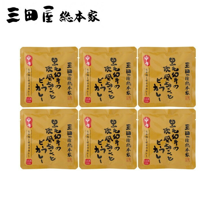 兵庫 三田屋総本家 黒毛和牛の欧風ちょこっとビーフカレー6食 カレー ギフト 産直 ご当地グルメ 熨斗 贈り物 新生活 お祝い お取り寄せ..