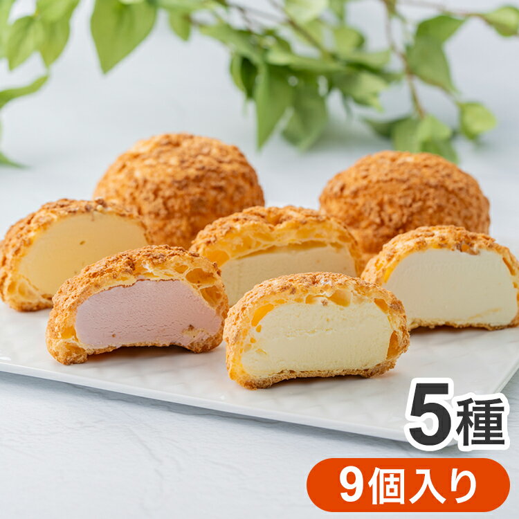 銀座千疋屋 銀座プレミアムシューアイス 9個入り 5種 シューアイス アイス アイスクリーム シュークリーム スイーツ フルーツ 千疋屋 ..