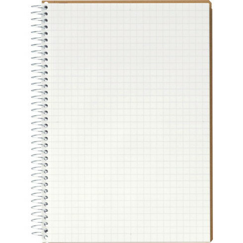 マルマン B6 スパイラルノート 方眼罫80枚 マルマン N248ES オフィス 住設用品 文房具 ノート(代引不可)