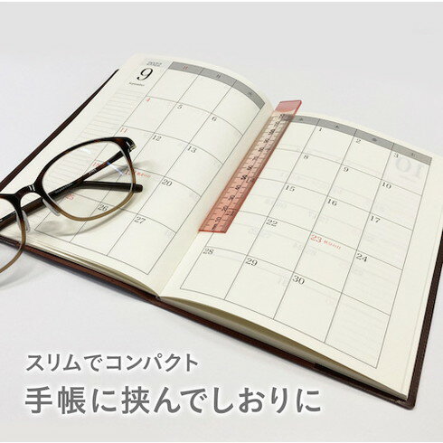 共栄プラスチック ニュアンスカラー定規 16cm シナモンシュガー 共栄プラスチック NJ1603 測定 計測用..