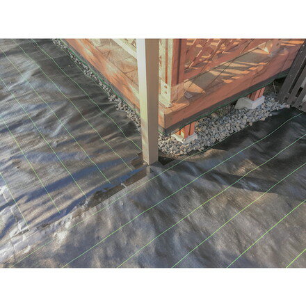 Dio ���𥷡��� �ϥ����졼��8ǯ �� 3m��30m ���Υ٥å��� ��ӥ󥰥���塼������� ������� �в����� ���𥷡���(����Բ�)������̵����