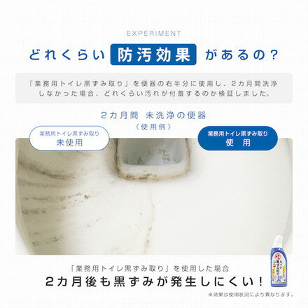 アイメディア 業務用 トイレ黒ズミ取リ アイメディア 清掃 衛生用品 労働衛生用品 トイレ用品(代引不可) 3